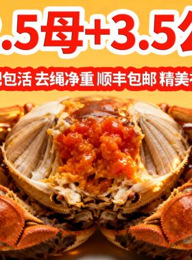【精品蟹礼】2.5两母3.5两公10只