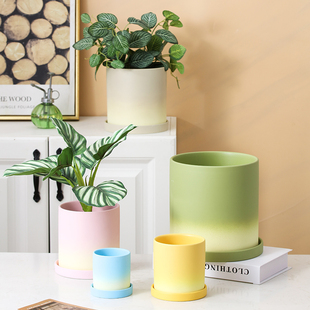 陶瓷花盆绿萝蝴蝶兰多肉创意个性 兰花文竹渐变简约大号容器带托盘
