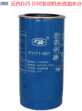 汽车原厂云内D25 D30发动机长效柴油燃油滤清器芯柴油格X10006844