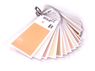 四季体系色彩顾问用测试肤色肤色色票适合亚洲18种肤色