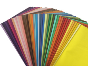 四季体系46色调布色彩顾问用肤色测试诊断工具肤色季型测试