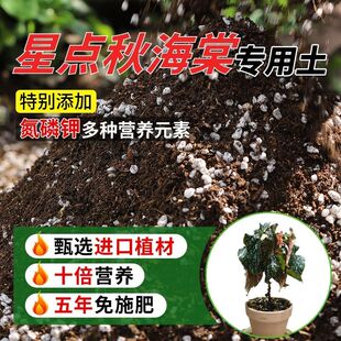 星点秋海棠专用土升级加肥土壤家庭盆栽绿植花泥有机肥料蓬松黑土