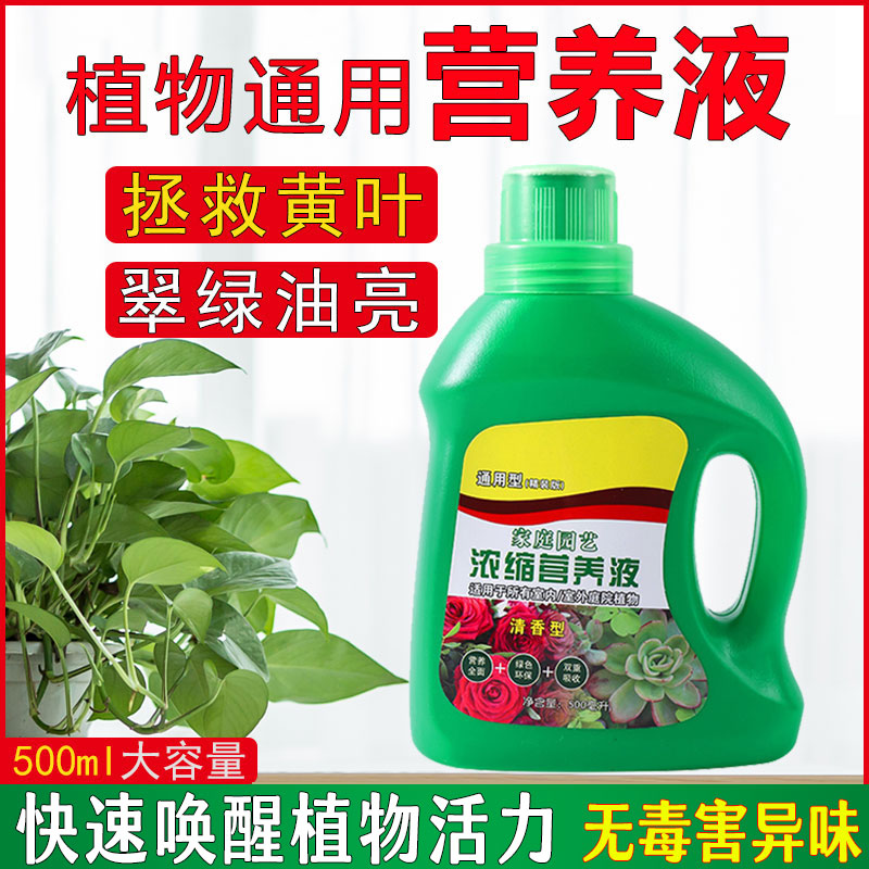 植物营养液通用型家用养花卉绿萝水培绿植多肉盆栽发财树液体肥料