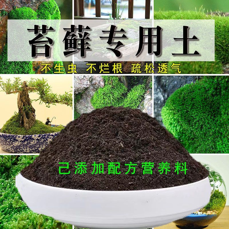 苔藓专用土盆栽有机花土种花苔藓营养土壤养花通用种植土肥料透气