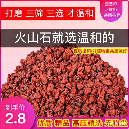 天然火山石颗粒多肉兰花专用拌土鱼缸水族营养土铺面垫底红火山岩