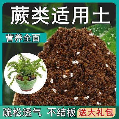 蕨类适用土疏松透气盆栽绿植专用室内植物营养土肥料