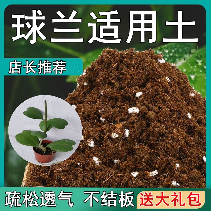 球兰适用土疏松透气盆栽绿植专用室内植物通用型营养土黑土肥料