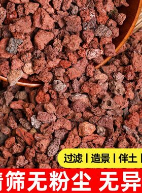 天然红色火山石水族过滤材料鹦鹉罗汉鱼缸铺底净水造景大块火山岩