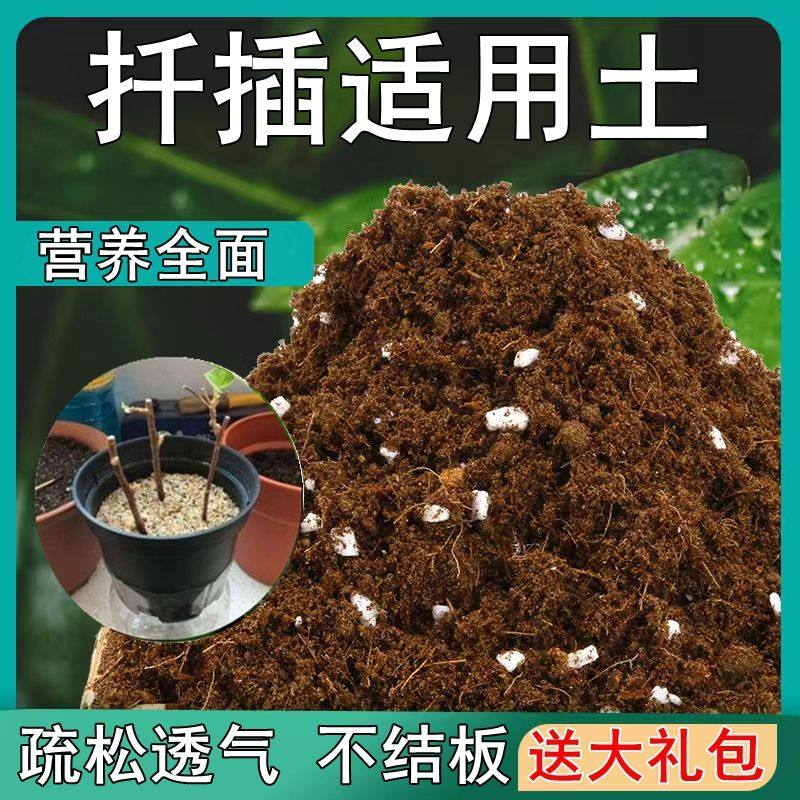 扦插适用土疏松透气盆栽绿植专用室内植物营养土肥料,鲜花速递/花卉仿真/绿植园艺,家庭园艺肥料,淘宝优惠券,粉丝福利购,淘宝优惠卷
