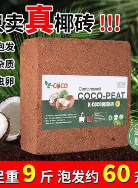 椰砖营养土养花植物通用种菜土壤多肉种植土进口脱盐椰糠大块耶砖