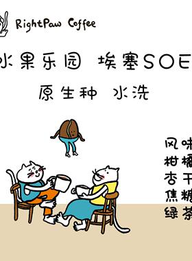 RightPaw【水果乐园】埃塞耶加soe升级版 浅烘意式 精品咖啡豆