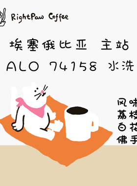 RIGHTPAW25产季埃塞ALO阿洛水洗/日晒/果皮浸渍日晒 咖啡豆100g