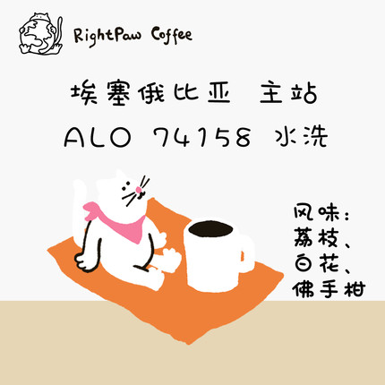 RIGHTPAW26产季埃塞ALO阿洛水洗/日晒/果皮浸渍日晒 咖啡豆100g