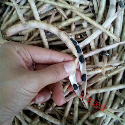 满3斤包邮福建闽南农家自种小黑豆牛角黑黑豆饭自种晒干新豆500g