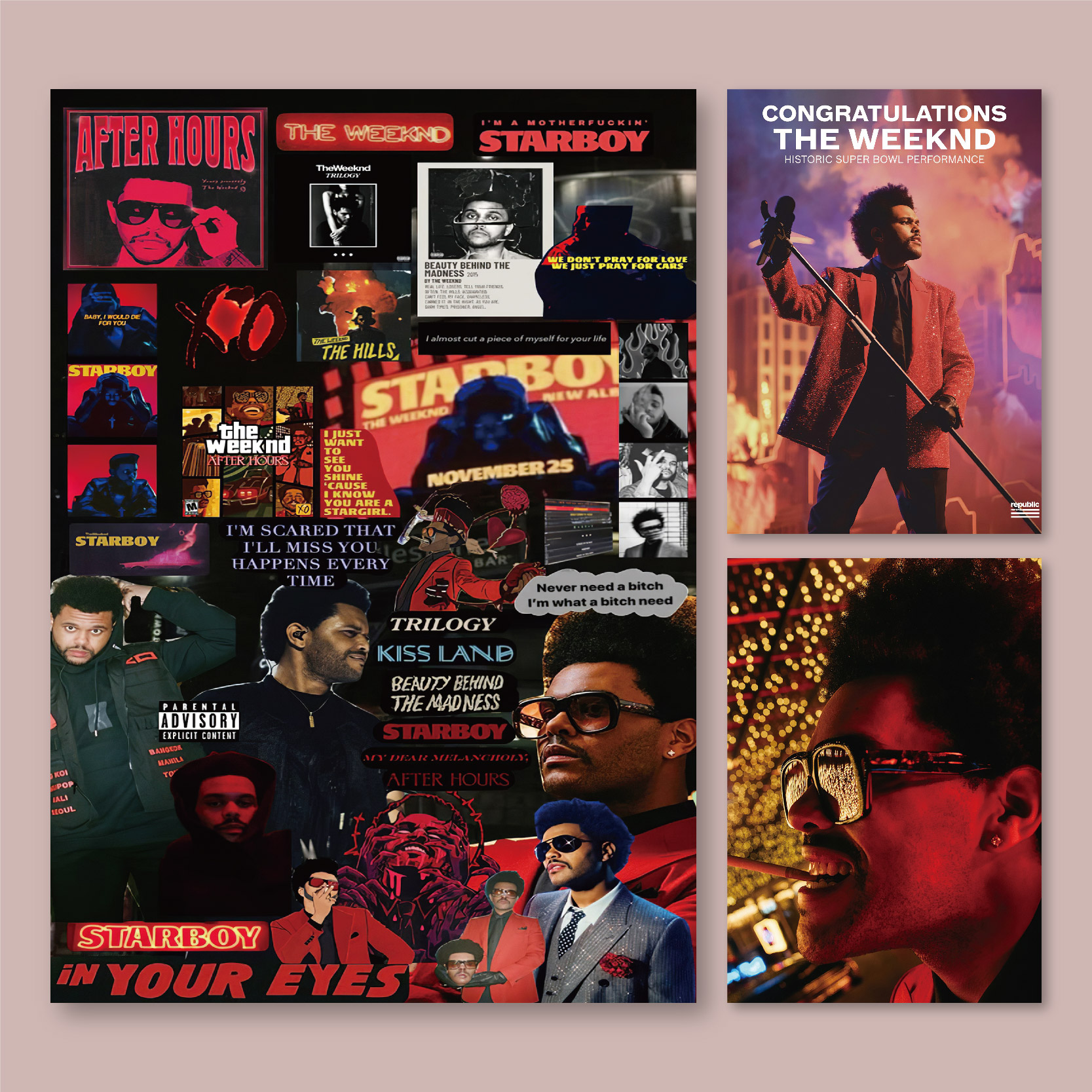 TheWeeknd盆栽海报写真满5送1