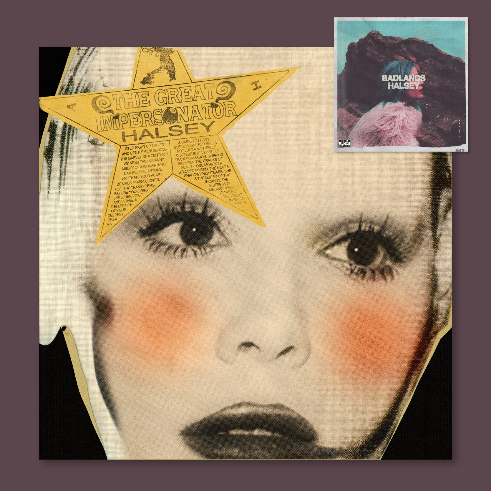 Halsey专辑封面海报全店满5送1