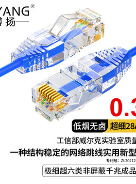 博扬 极细超六类网络跳线 0.3米 CAT6A UTP低烟无卤千兆成品网线