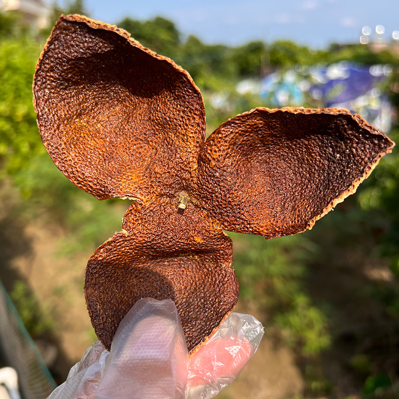 2015年正宗新会陈皮泡水甘甜