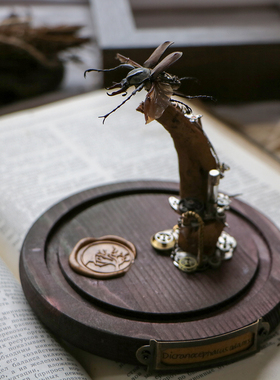 【机械塔】蒸汽机械昆虫鹿角花金龟甲虫标本欧式复古玻璃罩摆件