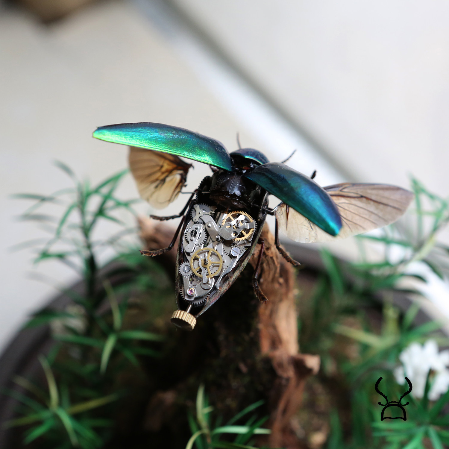 动态蒸汽朋克昆虫甲虫彩色椭圆吉丁虫标本复古摆件扇翅膀收藏品