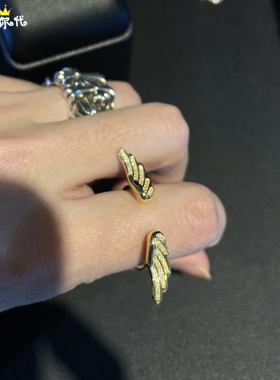 EYEFUNNY天使翅膀18K金开口戒指