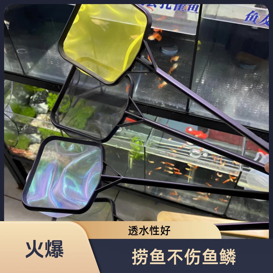 鱼捞，不伤鱼的鱼捞 鱼网