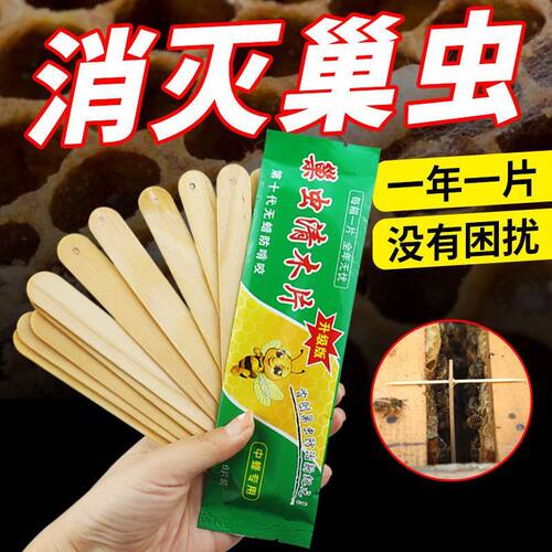 巢虫清清木片蜂必居巢虫棉虫蜂药