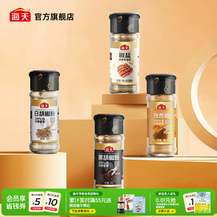 海天纯胡椒粉孜然粉椒盐花椒粉正宗香辛料家用撒料烧烤调料