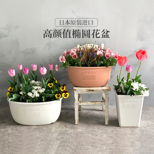 利快进口椭圆形花盆创意