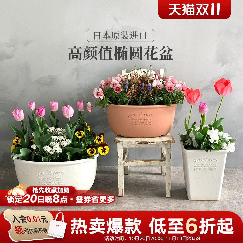 利快进口椭圆形花盆创意