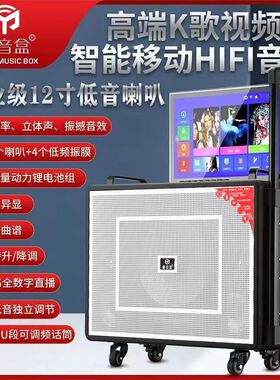 魔音盒户外移动K歌音响D28带显示屏广场舞拉杆便携蓝牙唱歌机音箱