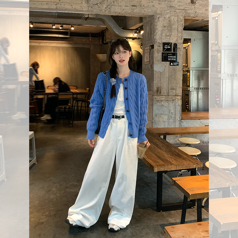 新款长袖麻花时尚针织开衫女春季蓝色韩版宽松显瘦纽扣毛衣外套女