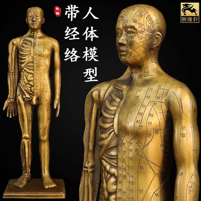 纯铜针灸人穴位人带脉络走向中医人体模型全身明代铜人男女铜人像