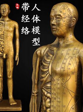 穴位人医馆黄铜针灸铜人体模型
