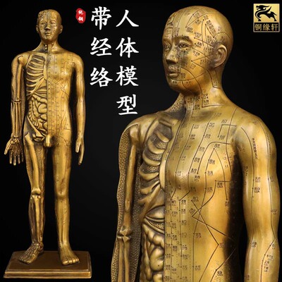 穴位人医馆黄铜针灸铜人体模型