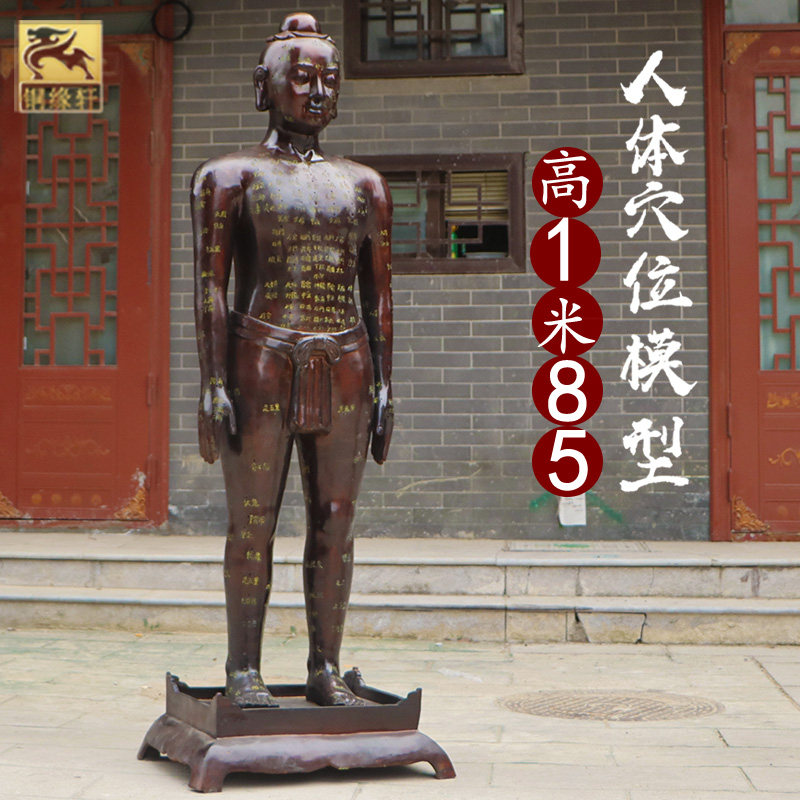 大号穴位人纯黄铜针灸人模型医院诊所中医人体全身经络穴位铜人