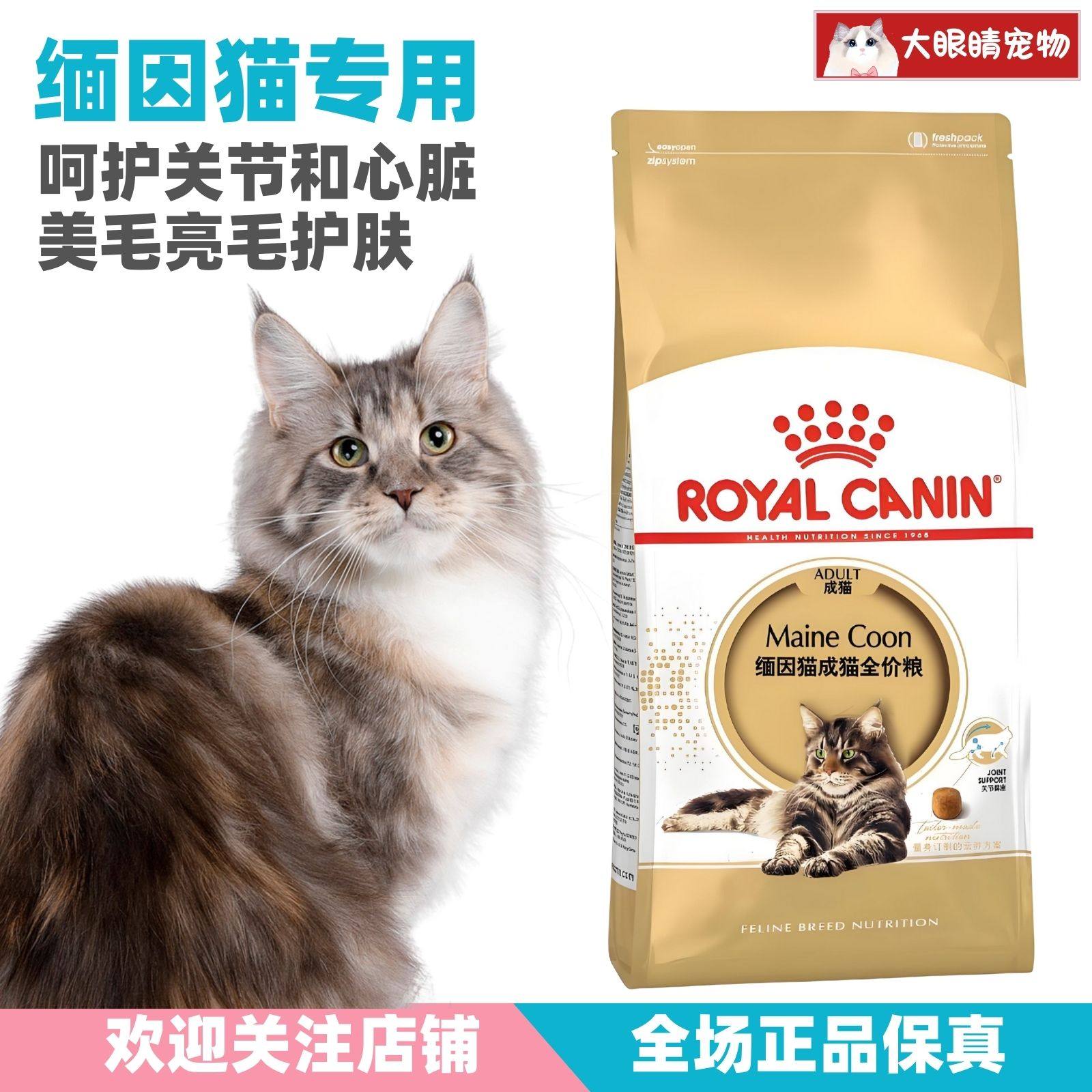 皇家猫粮缅因猫成猫专用粮MC31/2KG袋装 美毛护肤肠胃健康