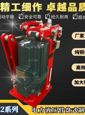 电力液压臂盘式制动器YPZ2-V系列，配套摩擦片，刹车片