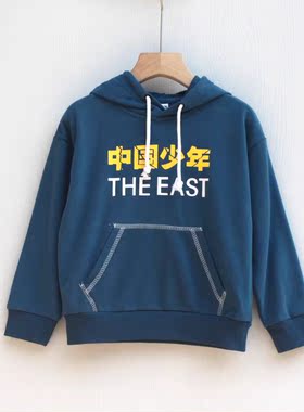L善系列120春秋装 品牌折扣童装/儿童棉长袖连帽卫衣20020兰