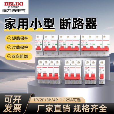德力西电气小型断路器DZ47S