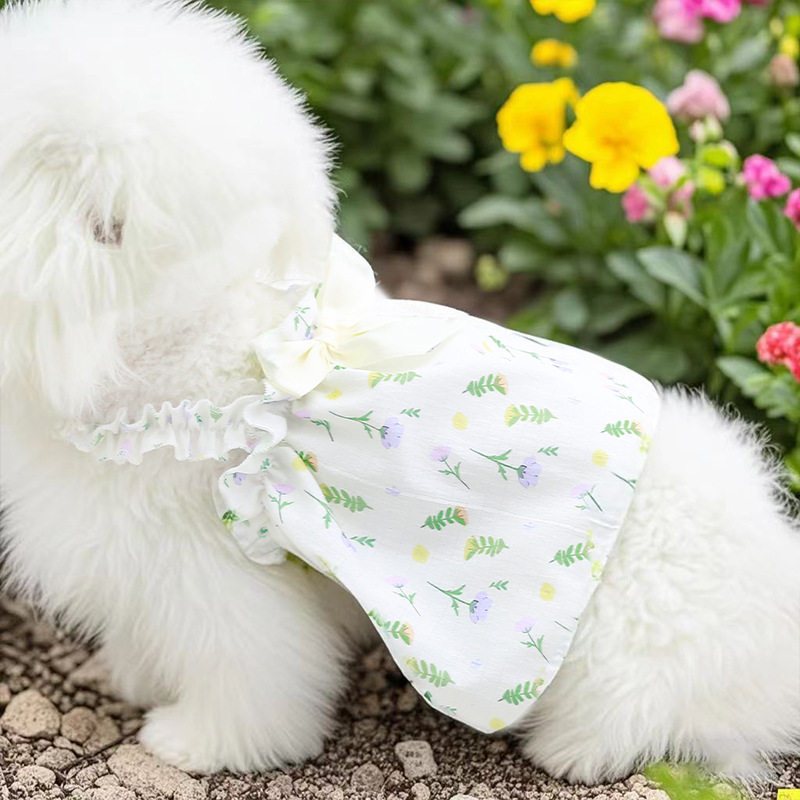 宠物衣服春款碎花蕾丝吊带短款公主裙泰迪比熊狗狗猫咪背心裙