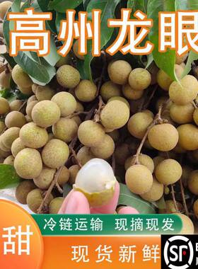 【顺丰包邮】广东高州当季正宗石硖龙眼 新鲜非海南龙眼新鲜桂圆