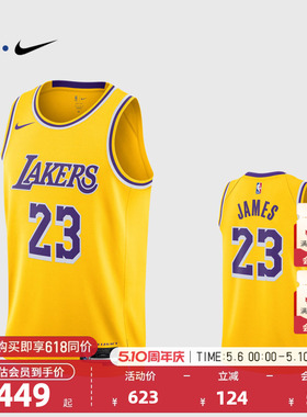 NBA官方NIKE耐克湖人队詹姆斯SW球迷版球衣专业训练背心篮球服男
