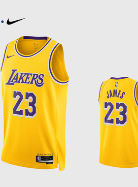 NBA官方NIKE耐克湖人队詹姆斯SW球迷版球衣专业训练背心篮球服男