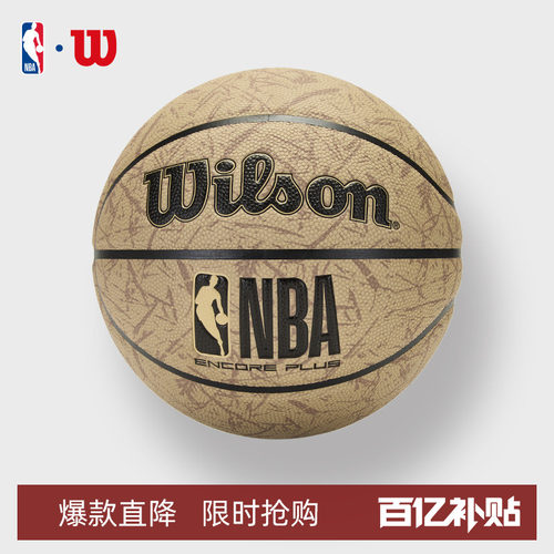 Wilson威尔胜室内外通用7号篮球