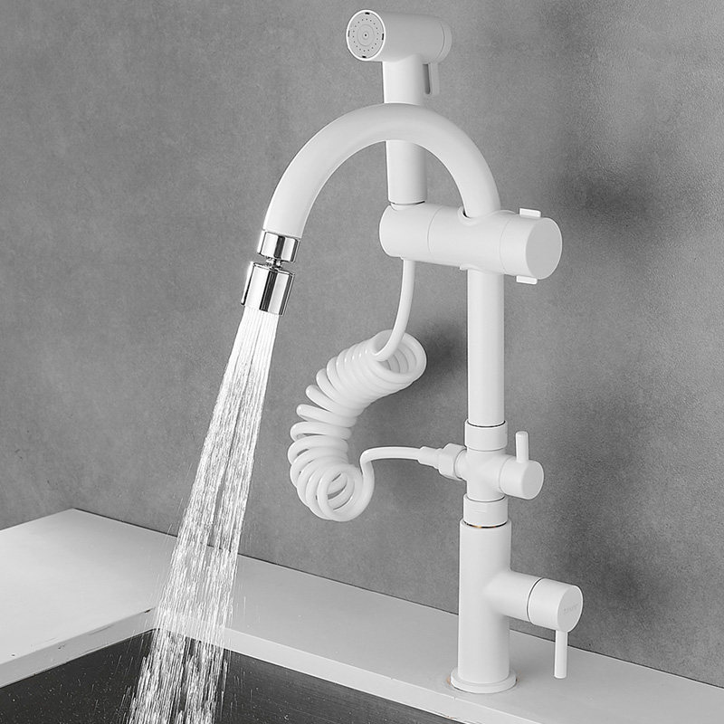 久诺单冷水厨房带喷枪水龙头