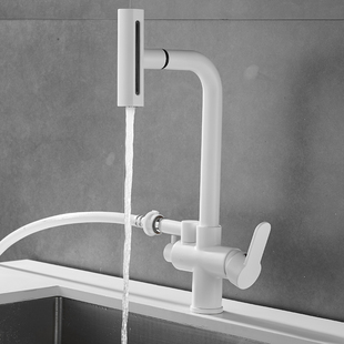 厨房抽拉式洗碗机冷热水龙头专用旋转多功能伸缩三通接过滤净水器