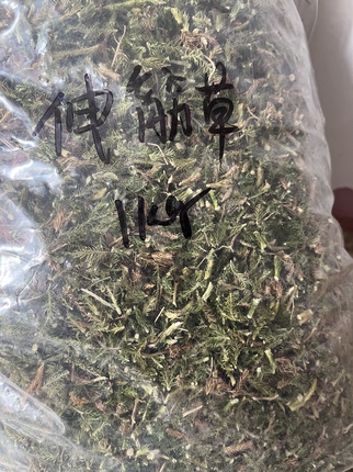 伸筋草