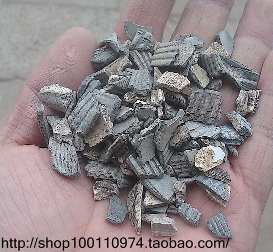 煅瓦楞子   煅 瓦楞子 1千克