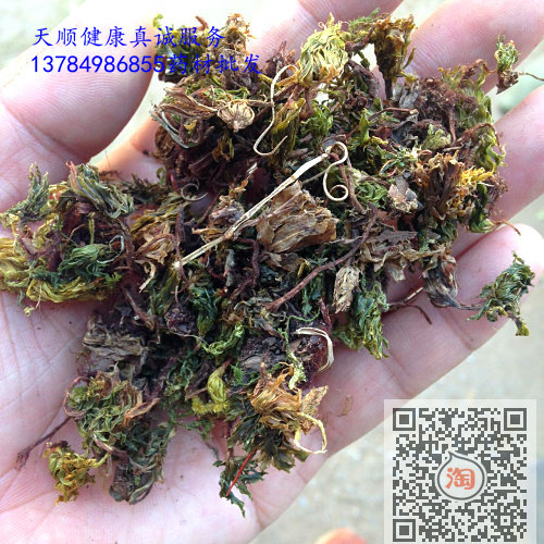 回心草 1千克220 干货 茴心草